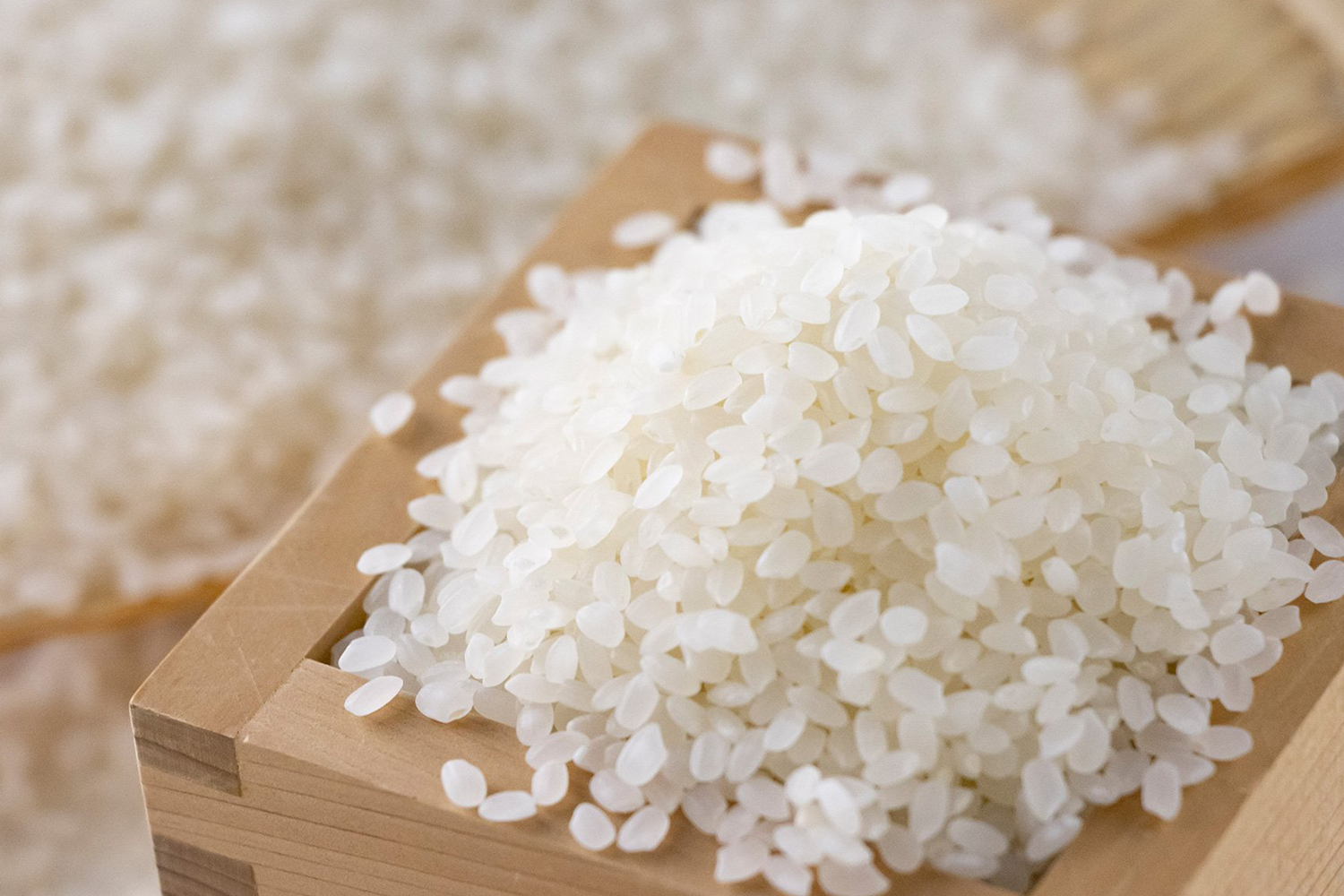 新米・令和3年産新潟　新之助　白米5kg×2個★農家直送★色彩選別済06 ◇産地直送◇ ＜令和6年産＞ 新潟県産 新之助 【白米20kg】